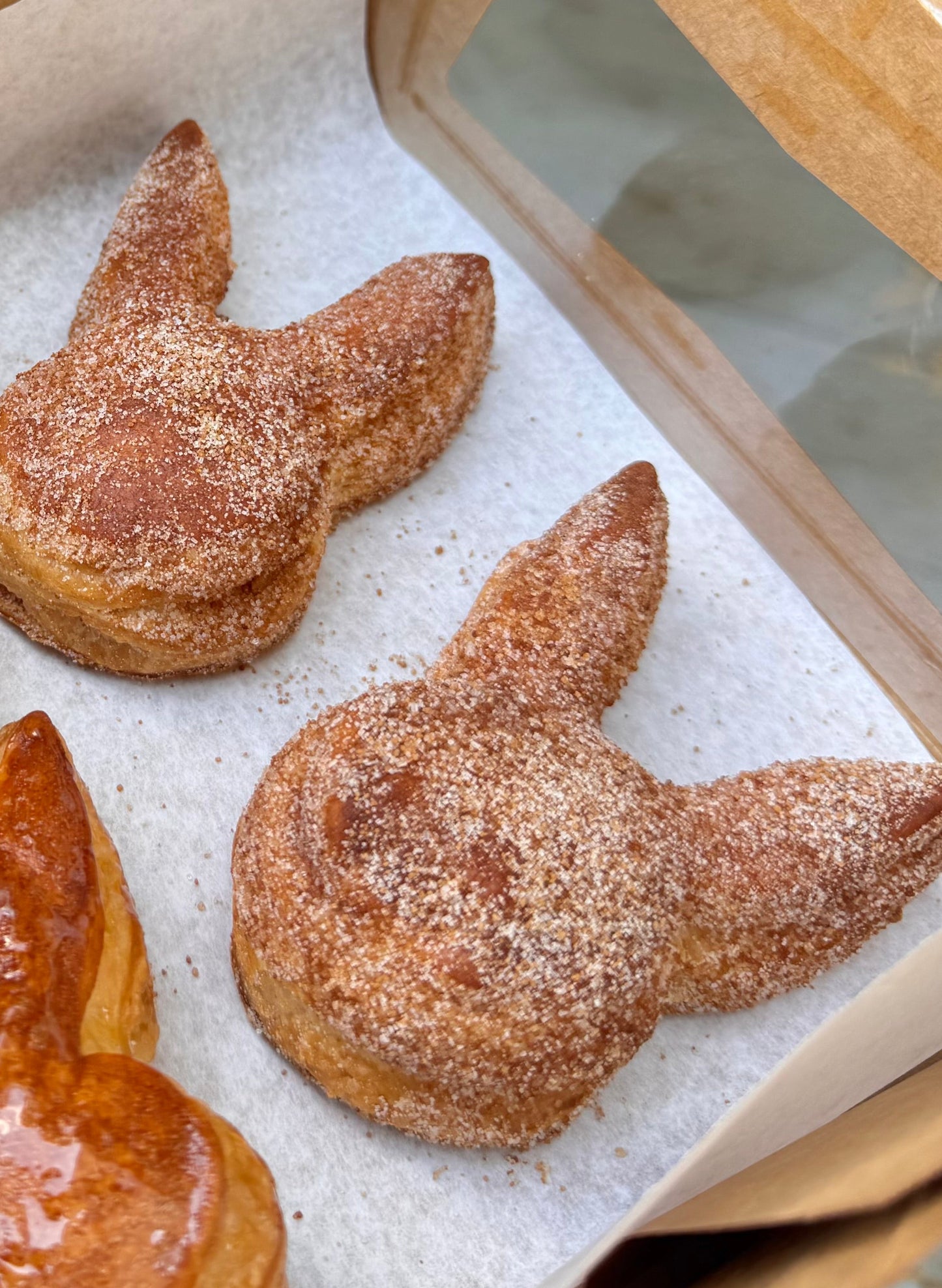 Churro Bunnies