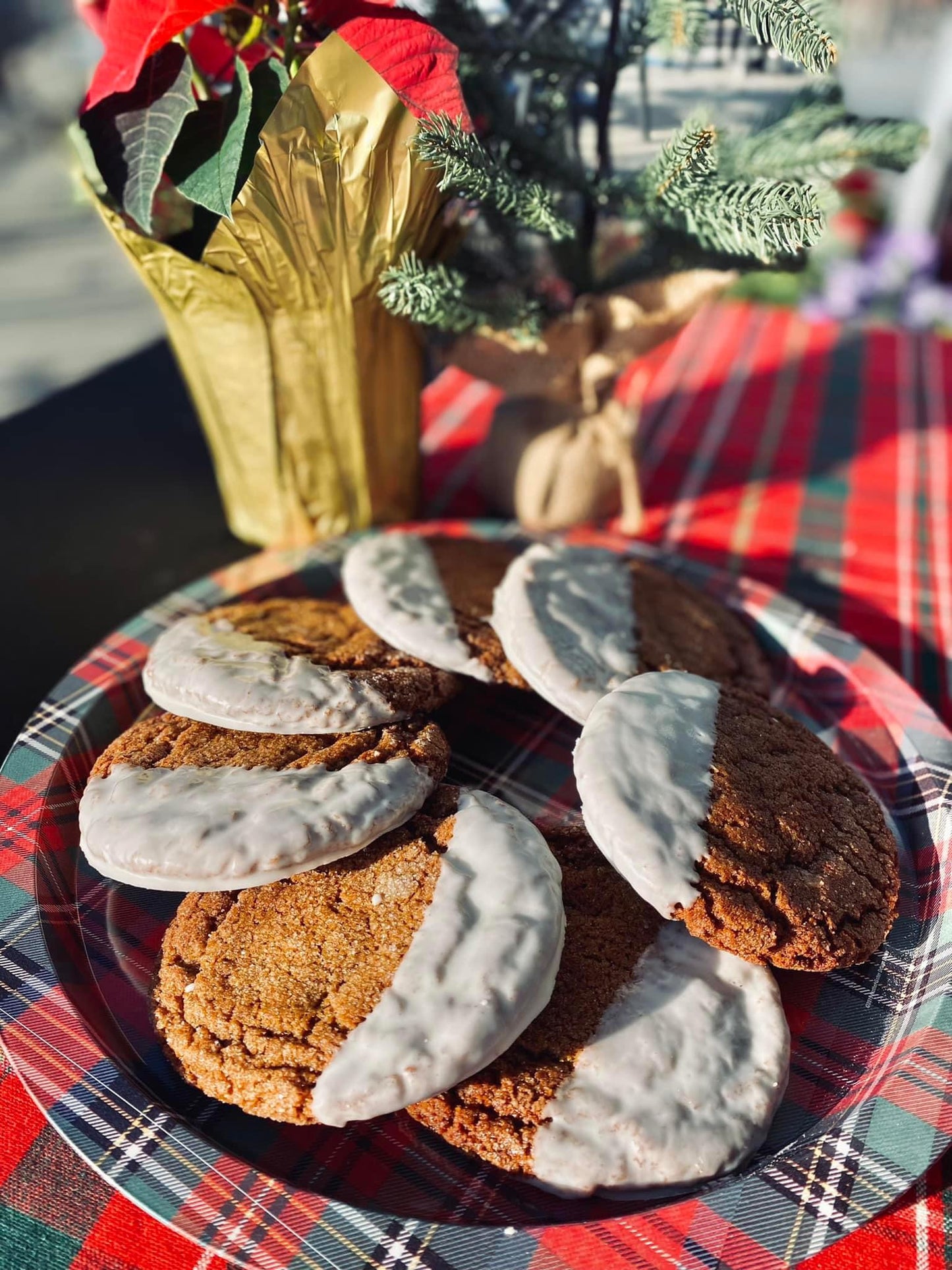 Ginger Molasses Cookie